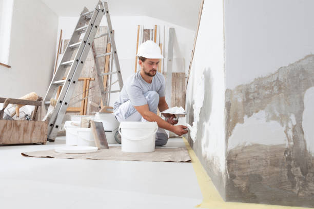 Environmental Consulting for Mold Prevention in Ruskin, FL